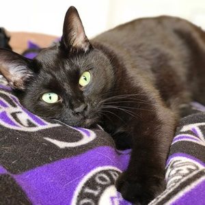 Meet your Posher, Holly